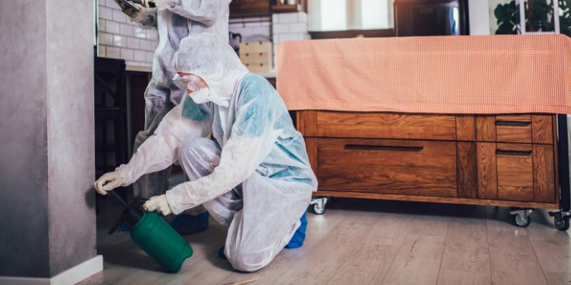 Dedetização em Apartamento Como Funciona em Salvador: Confira 4 Passos